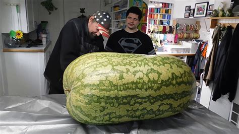 For you : r/massivemelons .
